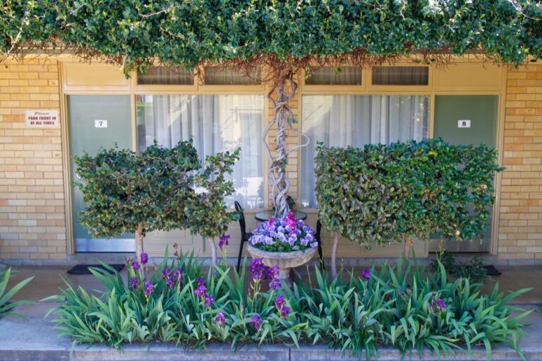 Rates / Rooms Mid City Motor